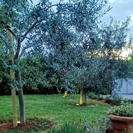 Montiron *