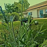 Montiron
