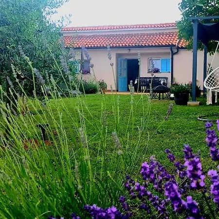 Apartment Apartment Montiron